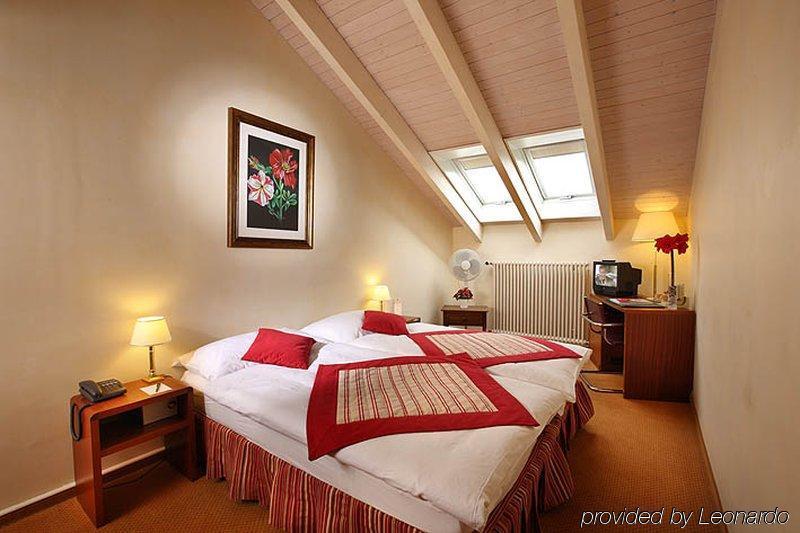 Hotel De La Couronne Morges Værelse billede